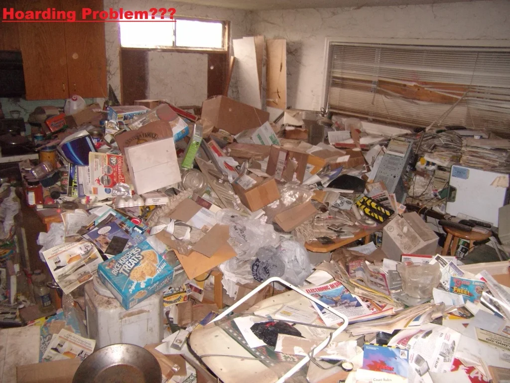 Junk Gone Today — Hoarding Clean Up | JunkGoneToday | Cleveland, Ohio