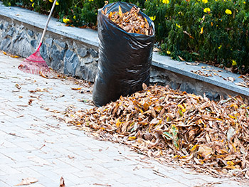 leaf-removal.jpg