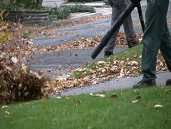 cleanup-leaf-blower.jpg