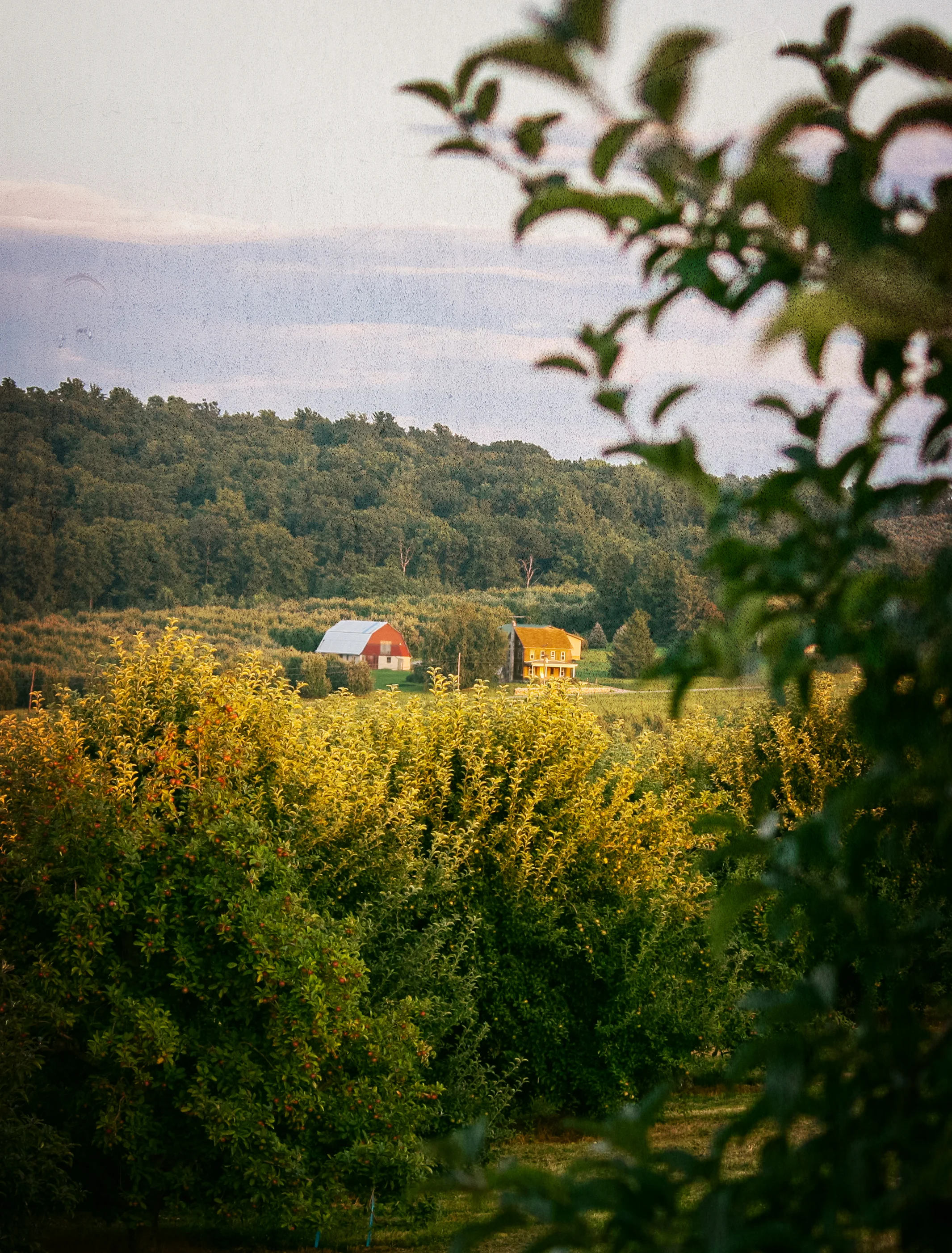 our-farm.jpg