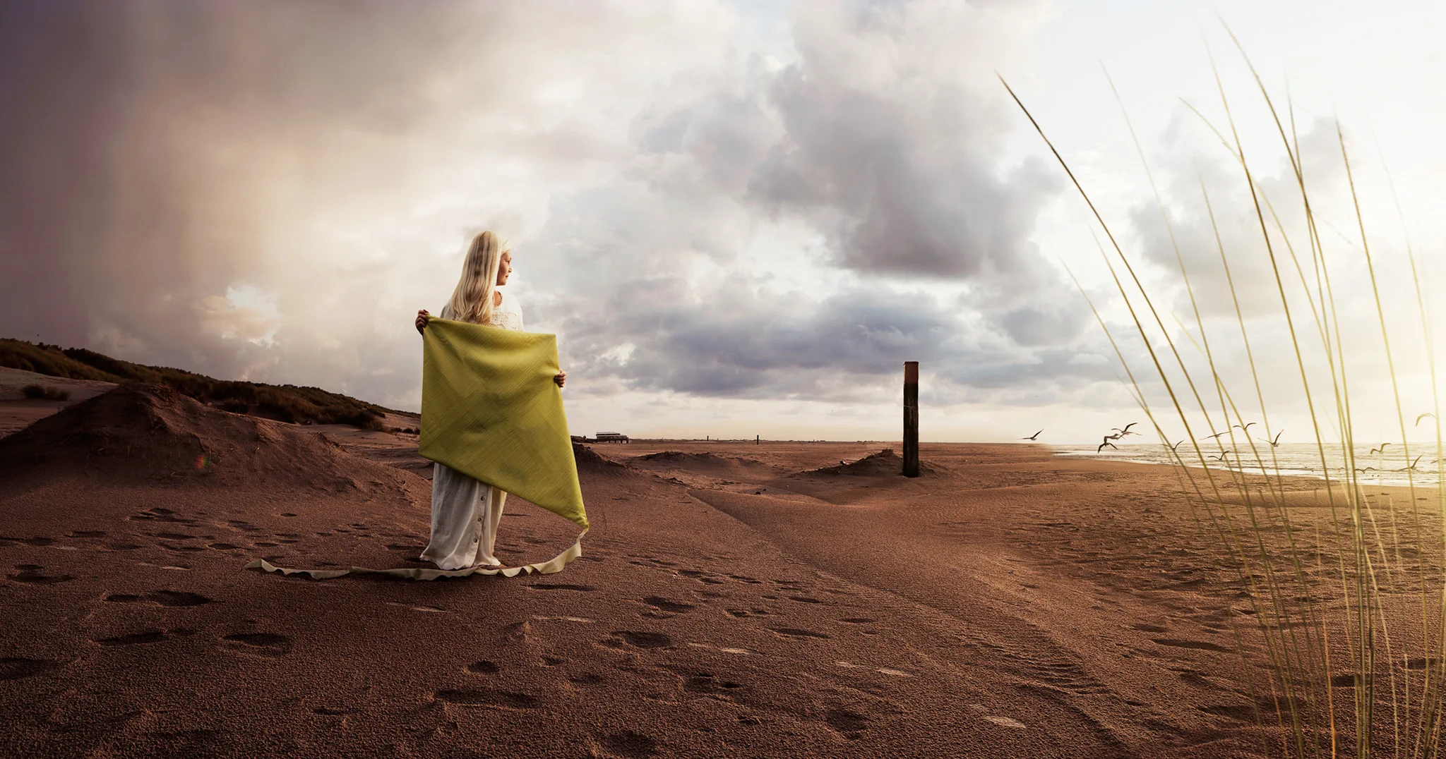 Kite_Highres_web.jpg