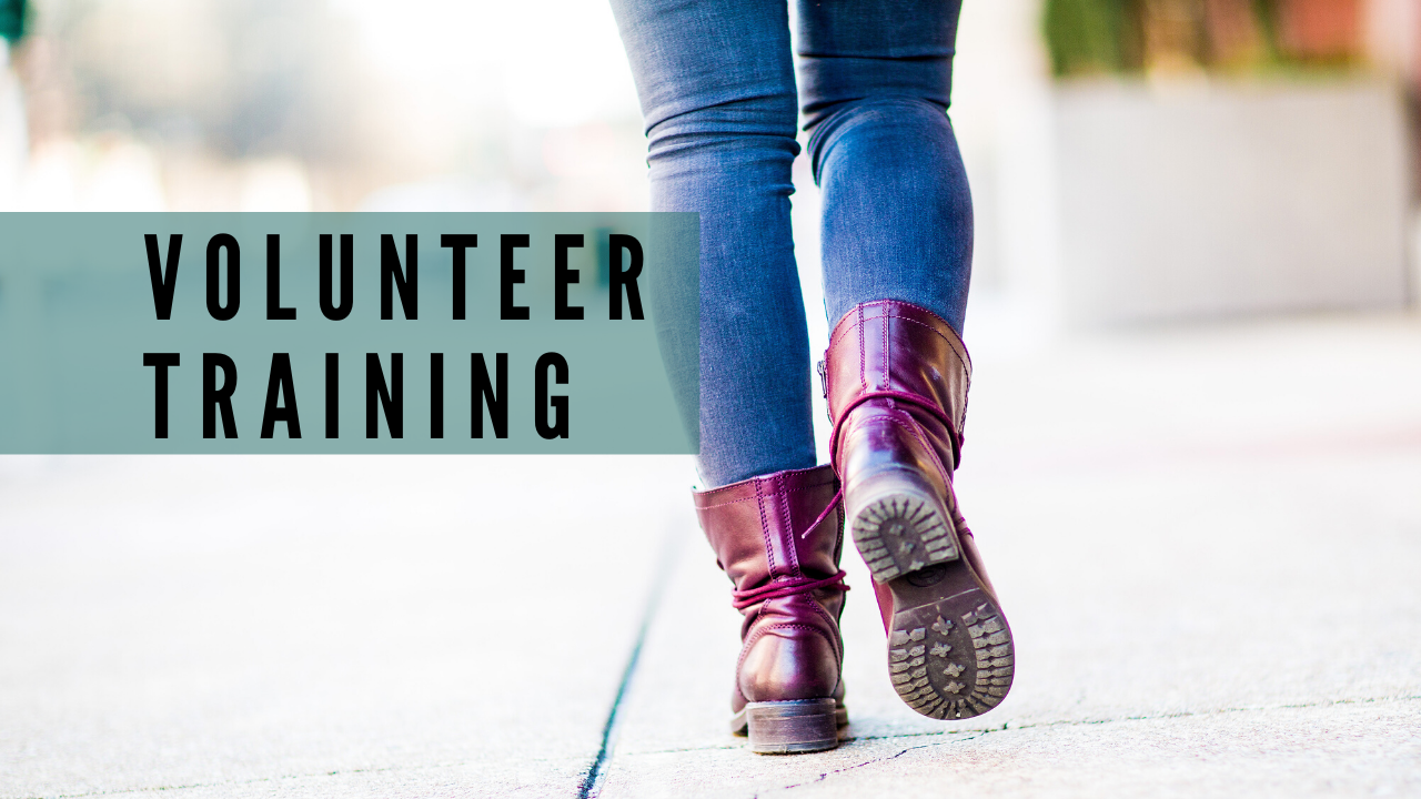 Volunteer Training