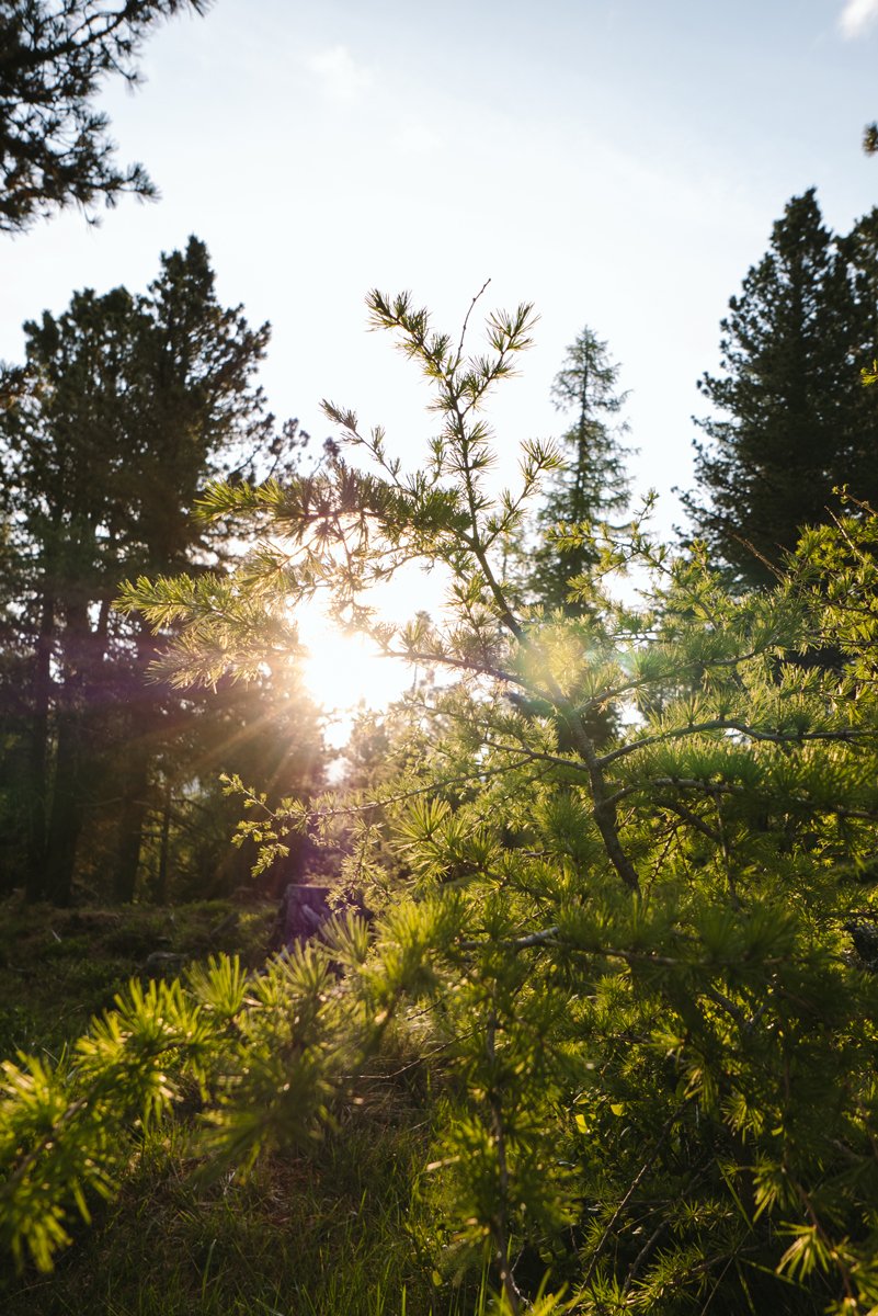 Impressionen-vom-Bergurlaub-in-Kärnten.