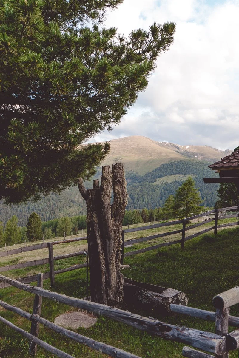 Bergurlaub-Kärnten-Sommer