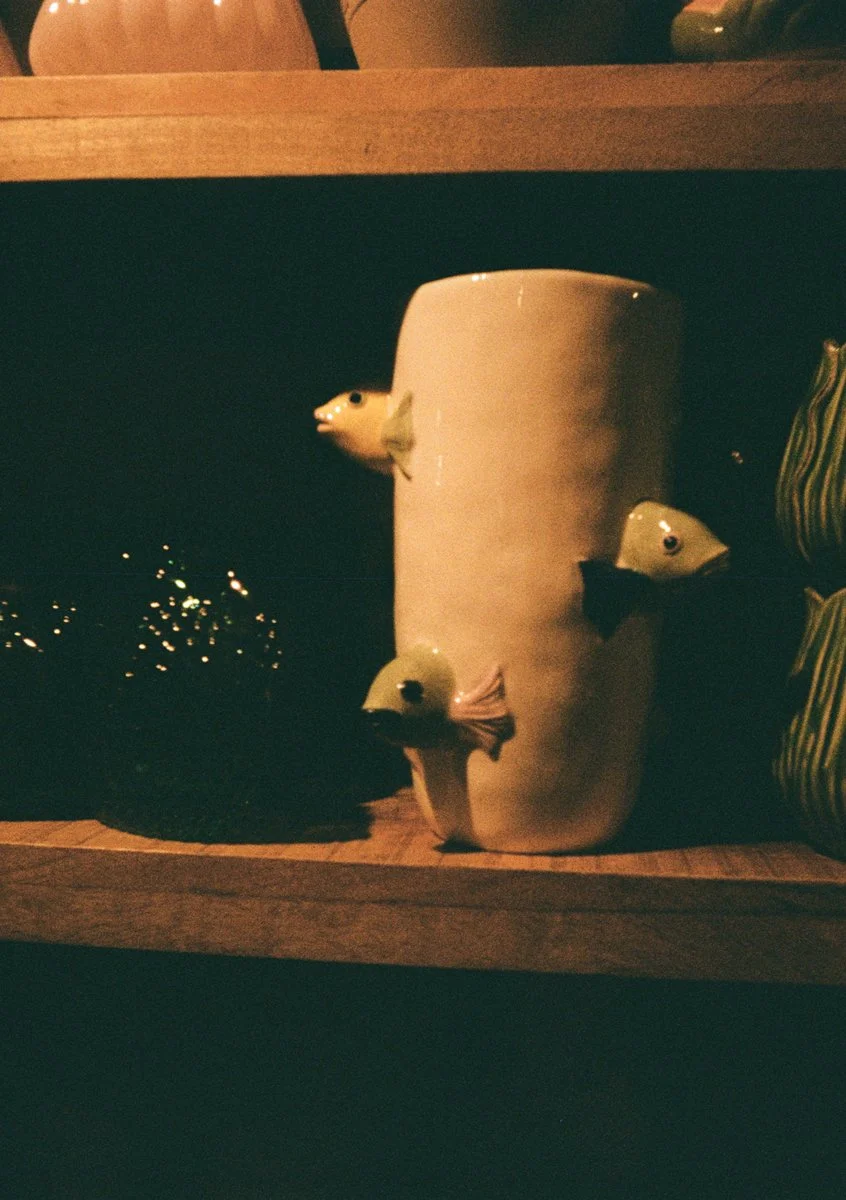 Indoor-shot_Kodak-Ektar-H35