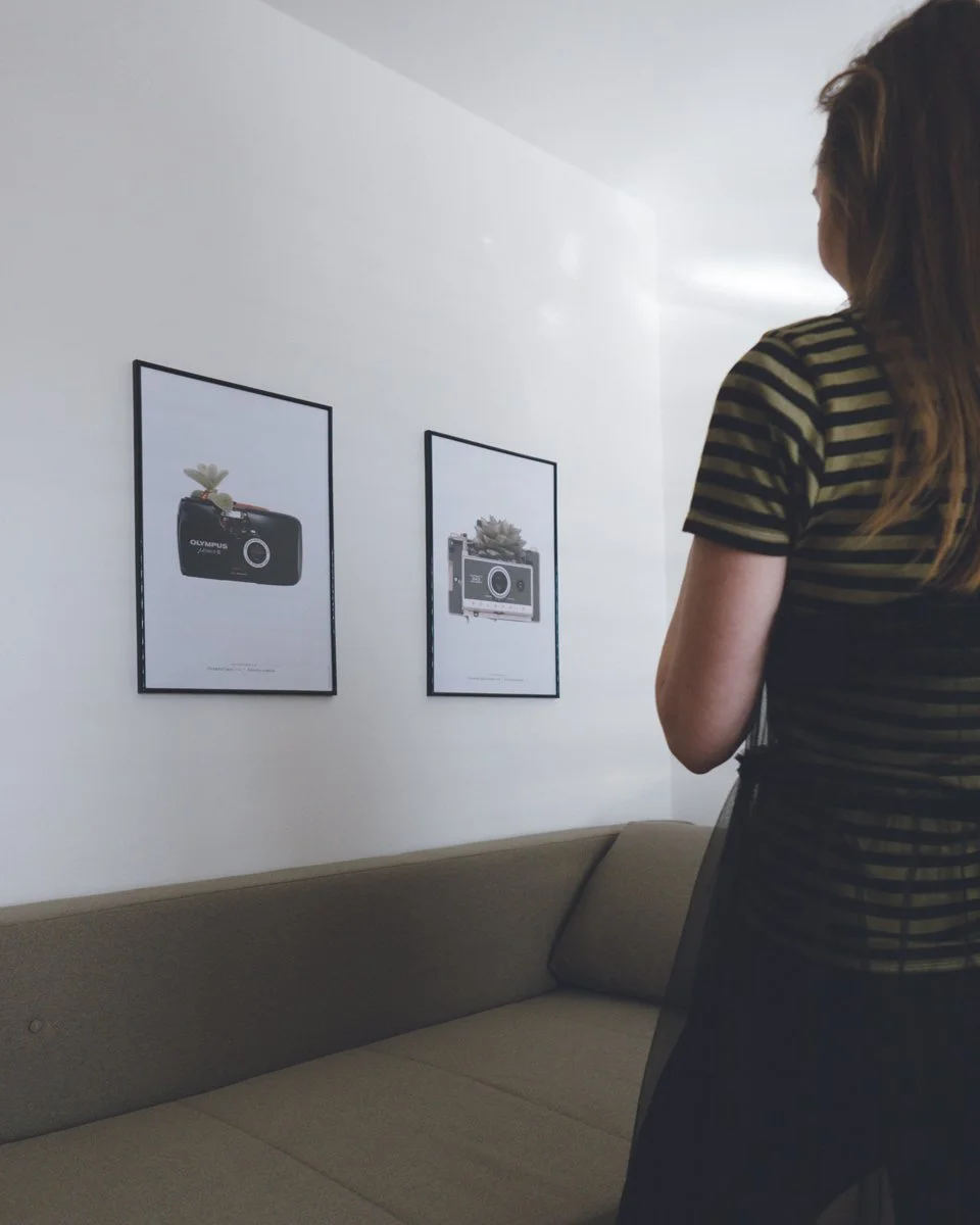 visual-artist-Bjarke-Ahlstrand_Photosynthesis-art-project