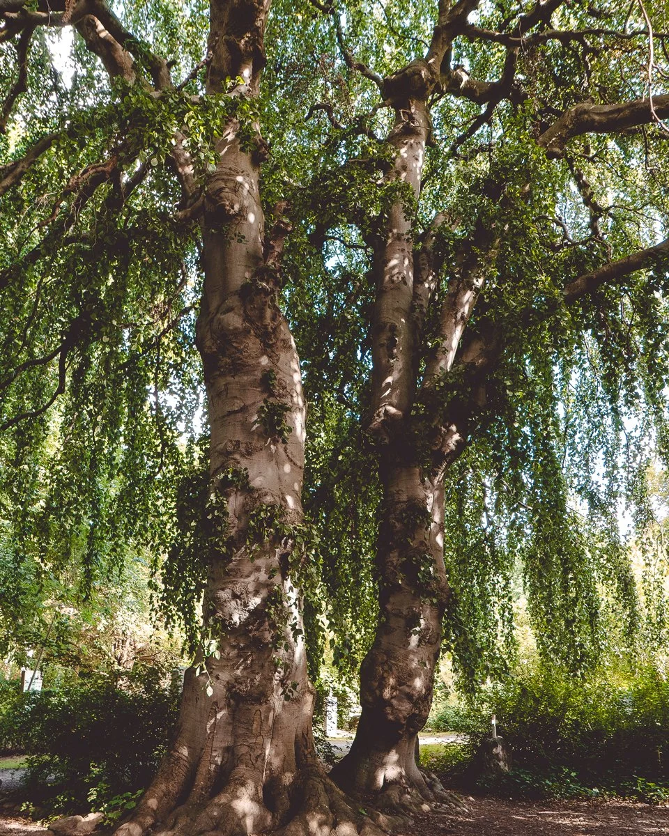 Nature-places-in-Copenhagen_travel