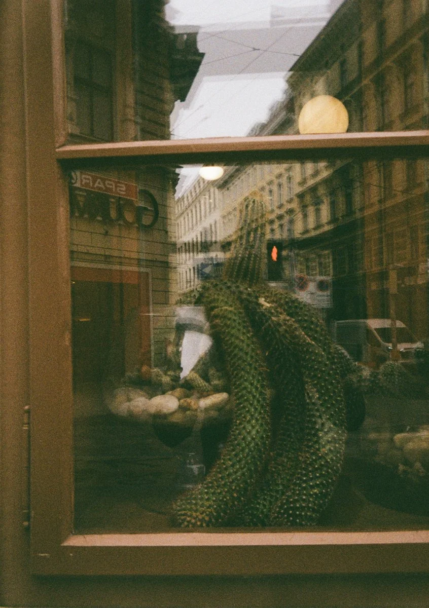 Kodak-Ektar-H35_comparison-to-Kodak-Ektar-H35n.
