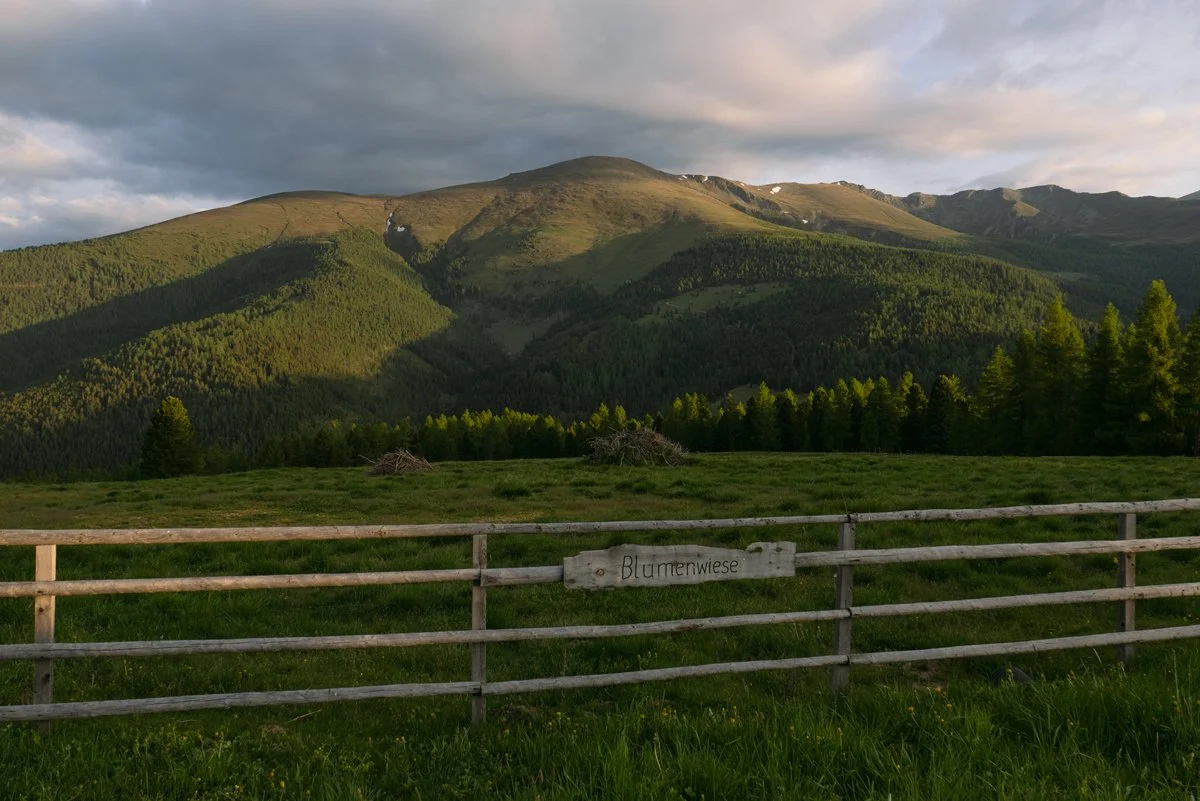 Blumenwiese-auf-der-Hochrindl_Reiseblog