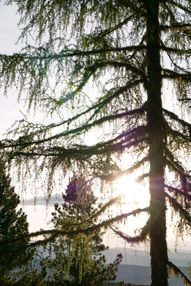 Wandertipps-auf-der-Hochrindl