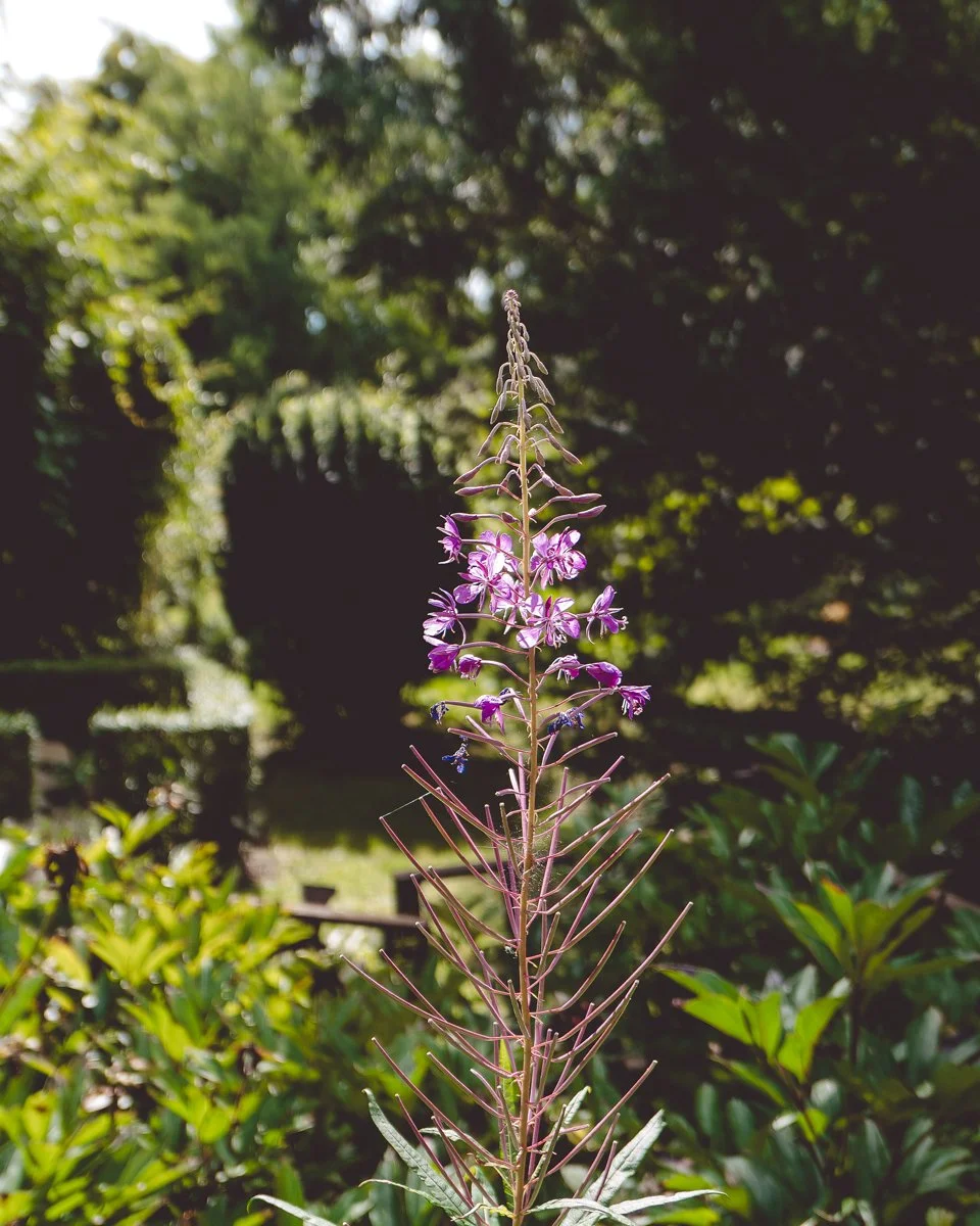 What-to-do-in-Copenhagen-alone_travel-blog