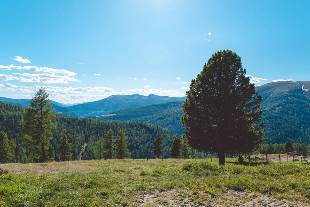 Urlaub-in-Kärnten_Sommer-Hochrindl