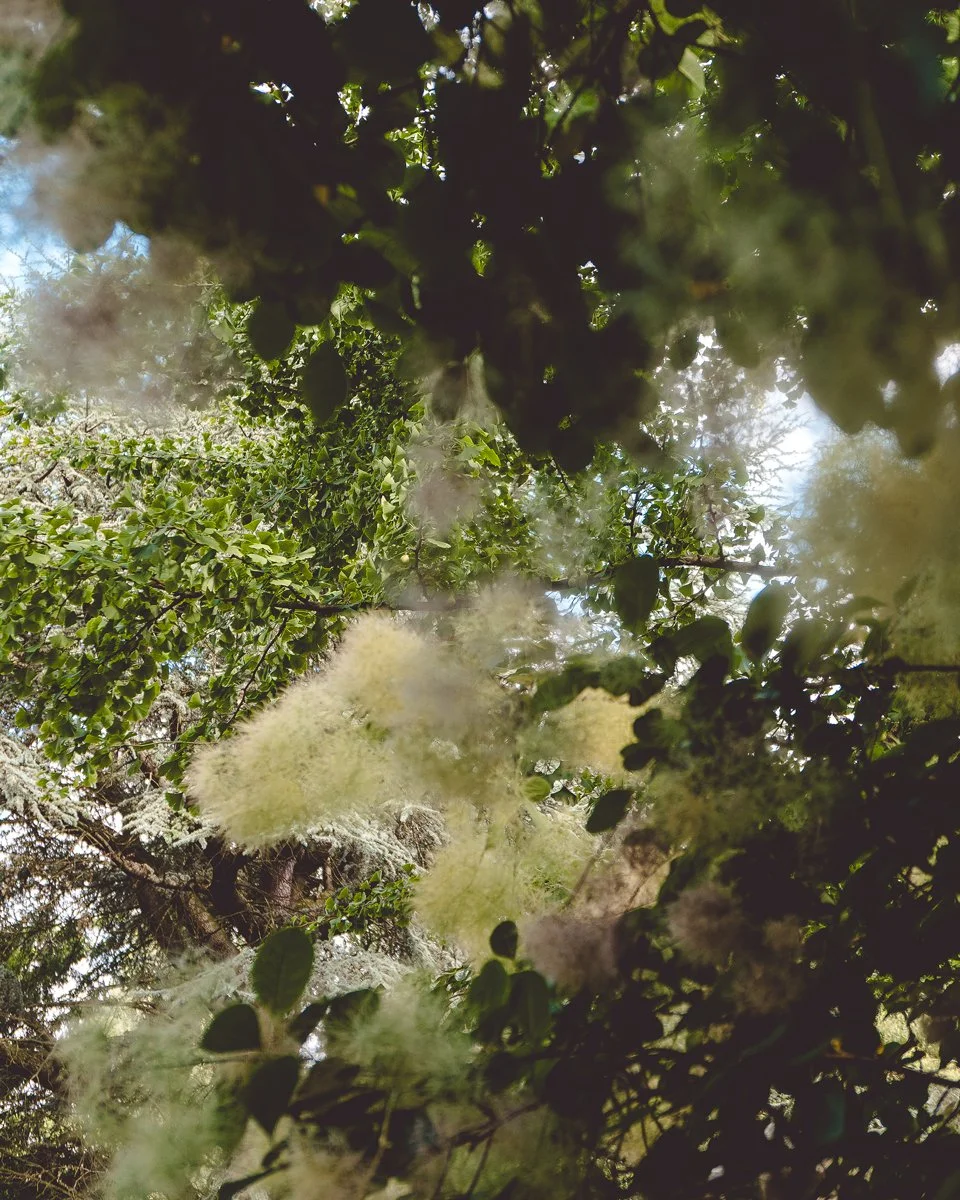 Copenhagen_solo-trip_tips-and-tricks