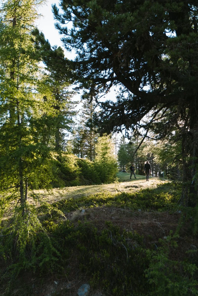 Wandern-auf-der-Hochrindl-Alm