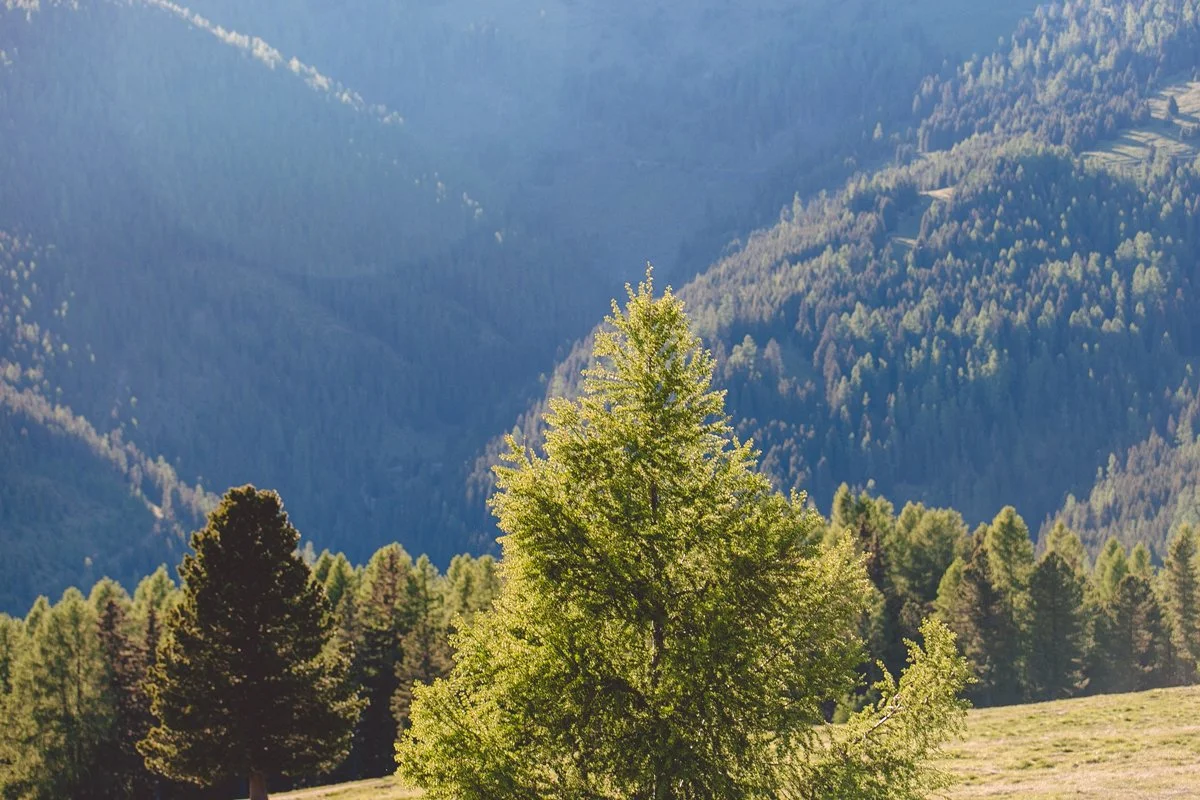 Mountain-vacation-Austria-in-summer