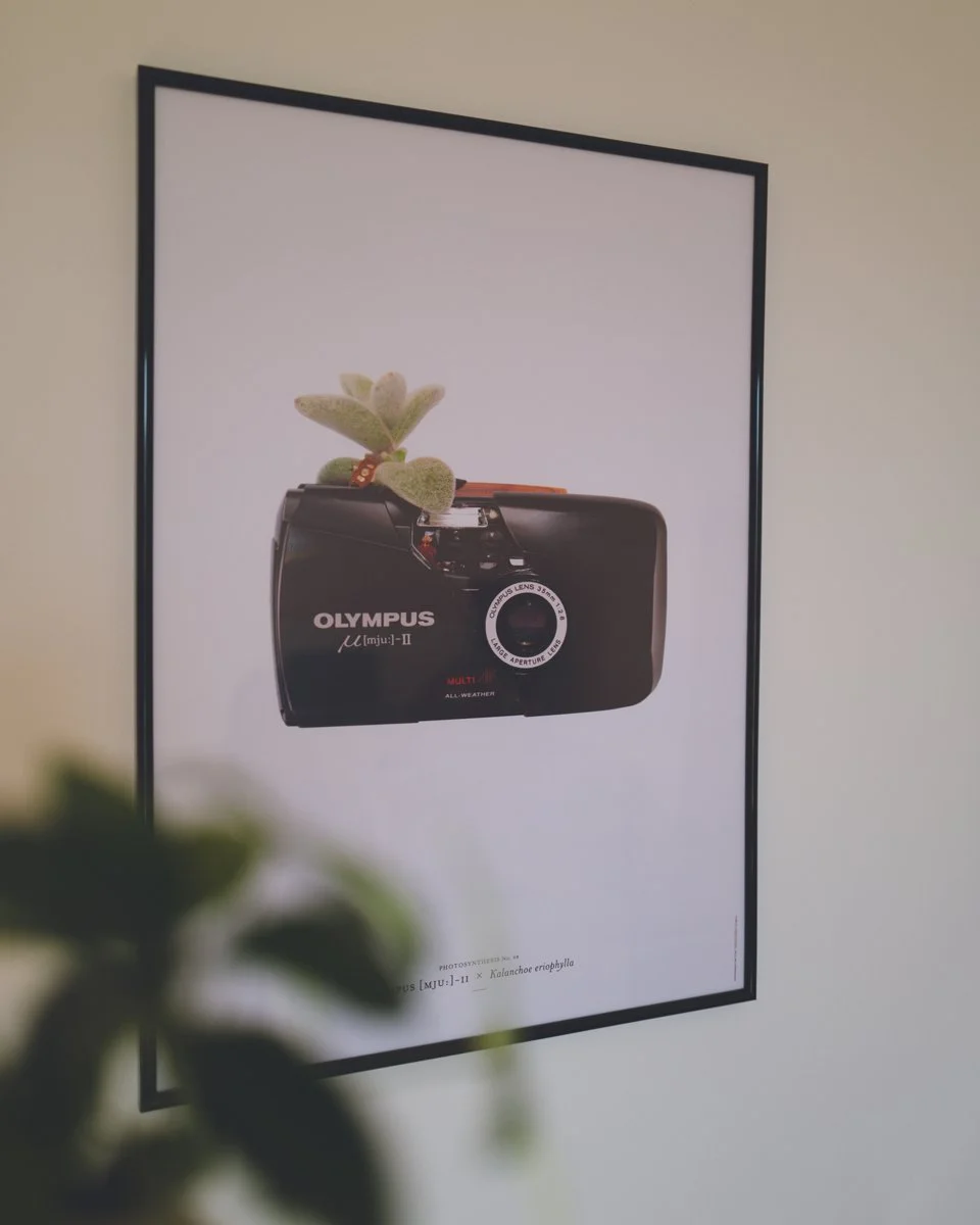 Olympus-Mju-Camera-print-by-visual-artist-Bjarke-Ahlstrand