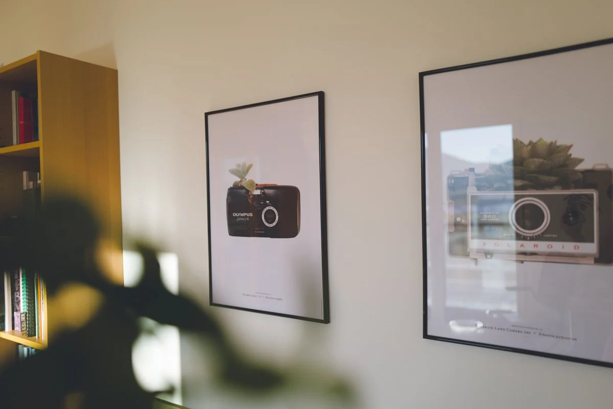 visual-artist-Bjarke-Ahlstrand_one-of-many-cameras_photography-project-photosynthesis