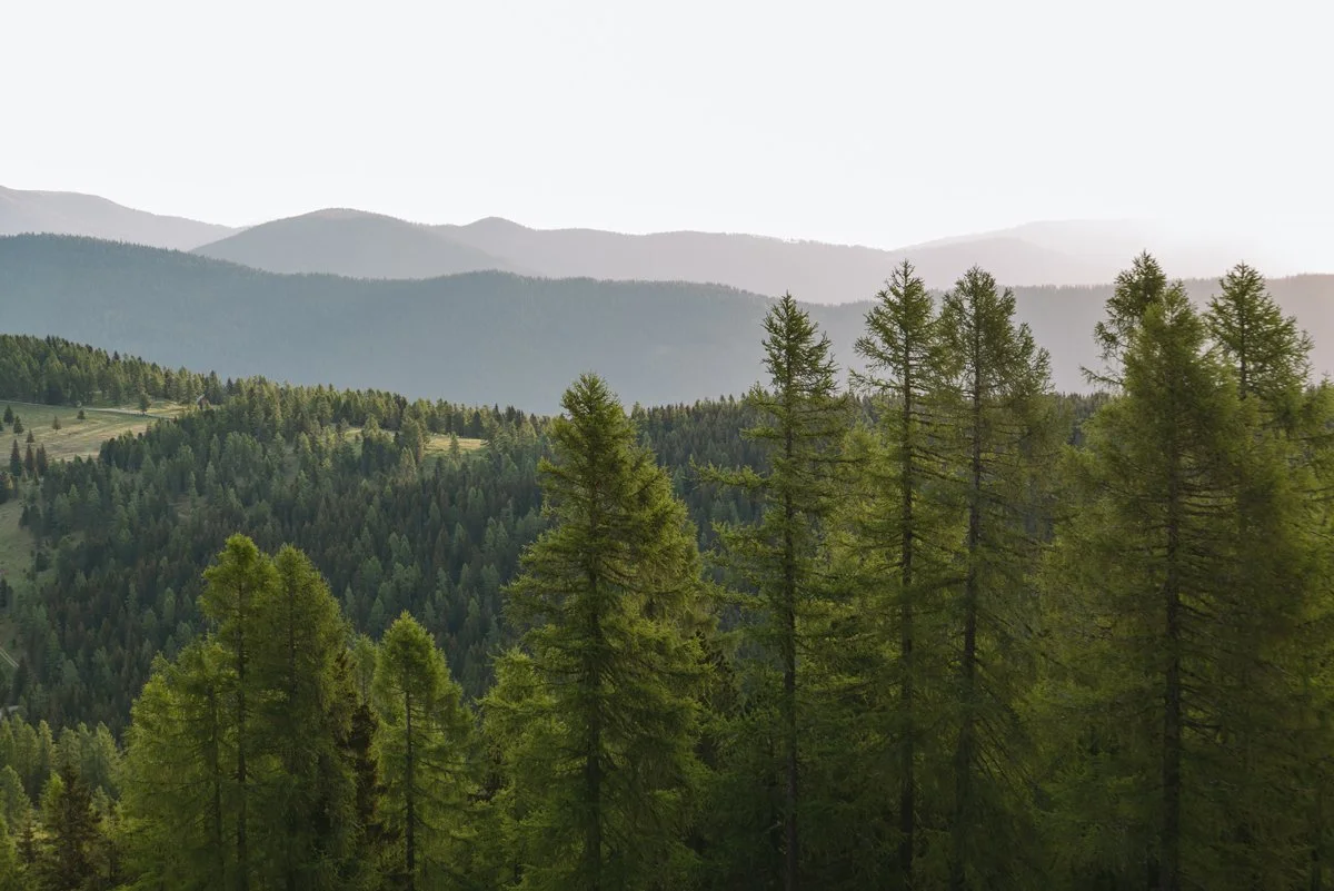 Sommerurlaub-in-den-Bergen_Kärnten