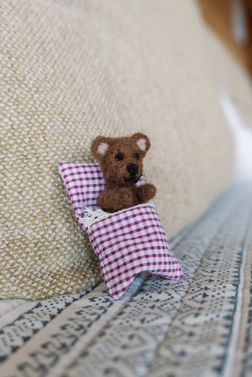 Little-Bear-in-the-Alps