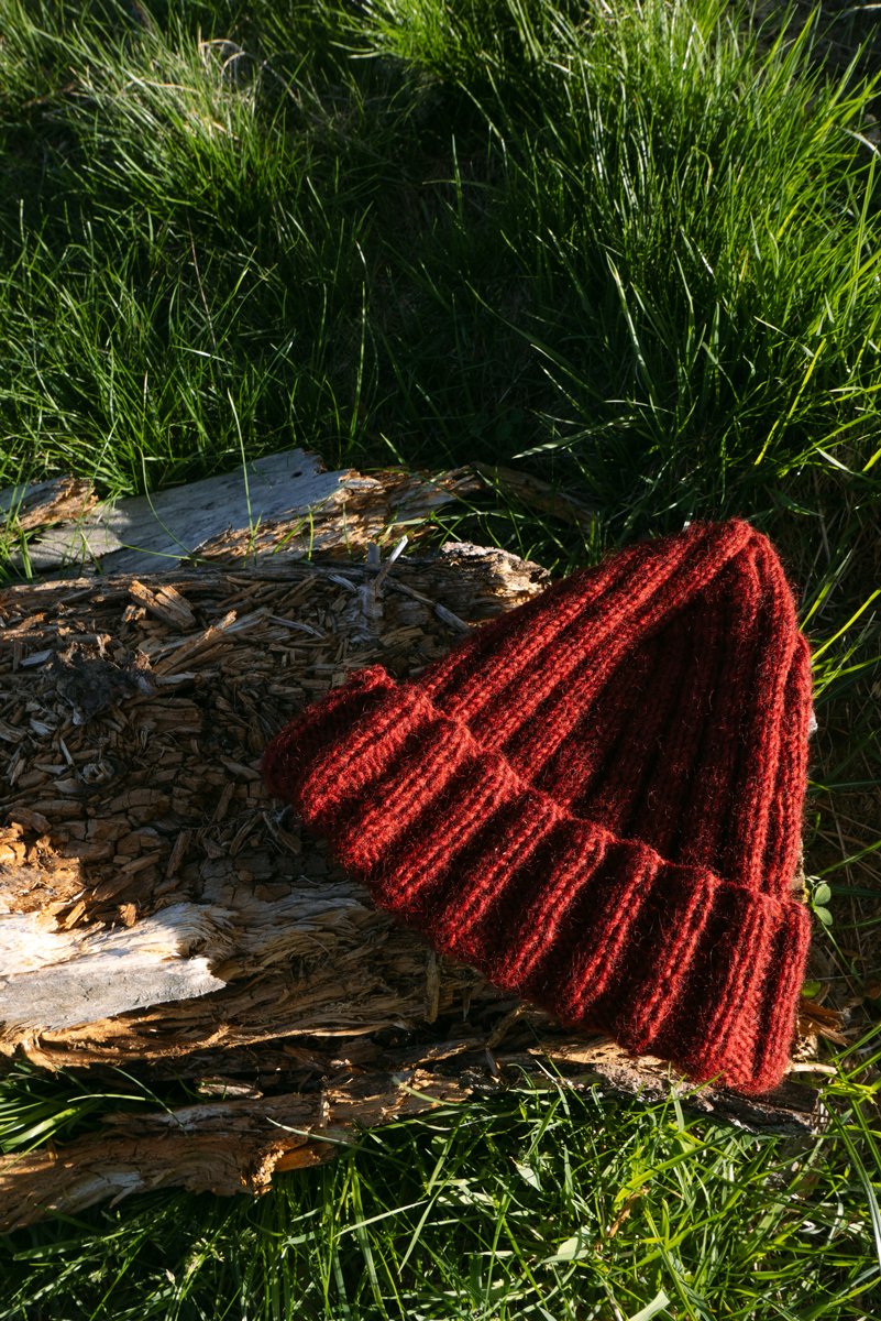 Myssy-Hat-in-the-Forest