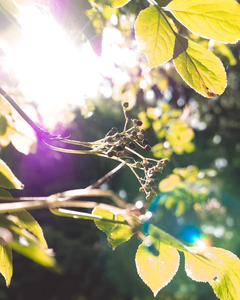 How-to-travel-alone-to-Copenhagen_personal-view