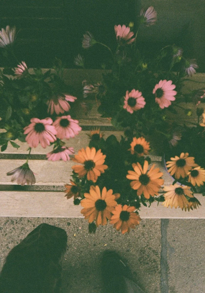 Honest-review-of-Kodak-Ektar-H35