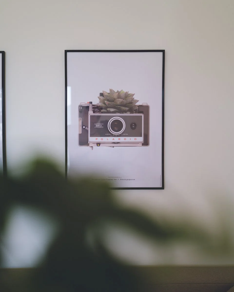 Camera-flowers_Photosynthetsis_Polaroid-camera-print-by-visual-artist-Bjarke-Ahlstrand