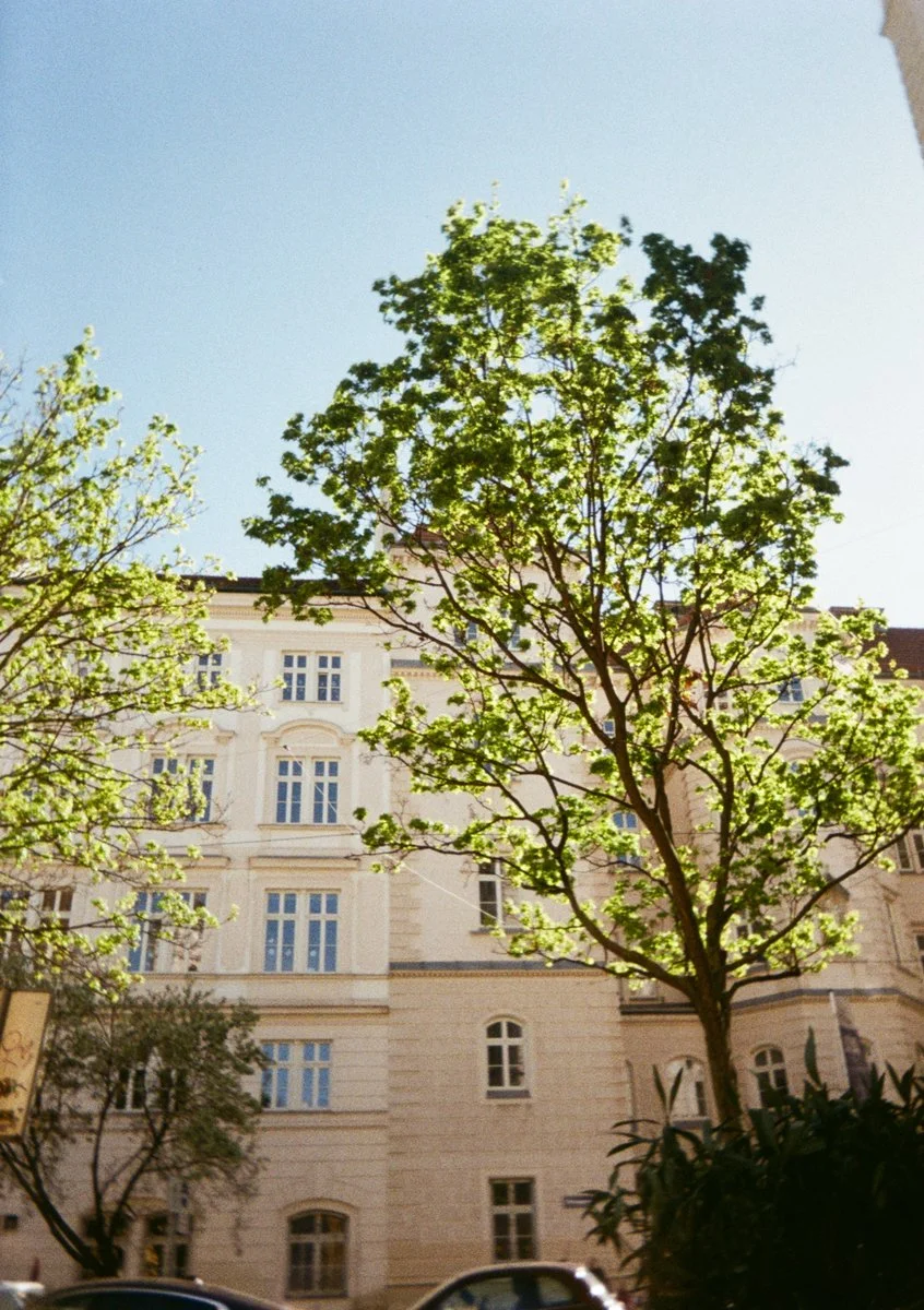 Impression-of-the-Kodak-Ektar-H35