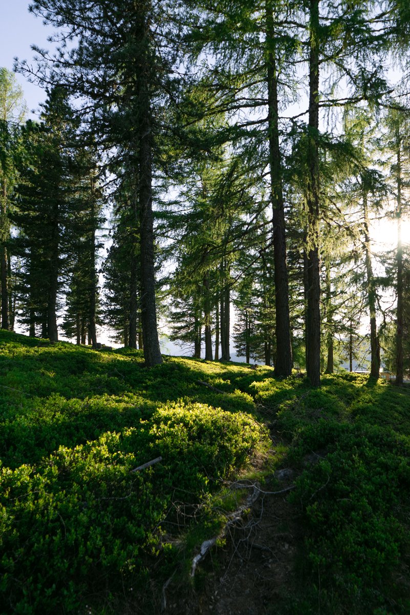 Zirbenwald-Hochrindl-Bad-Kleinkirchheim
