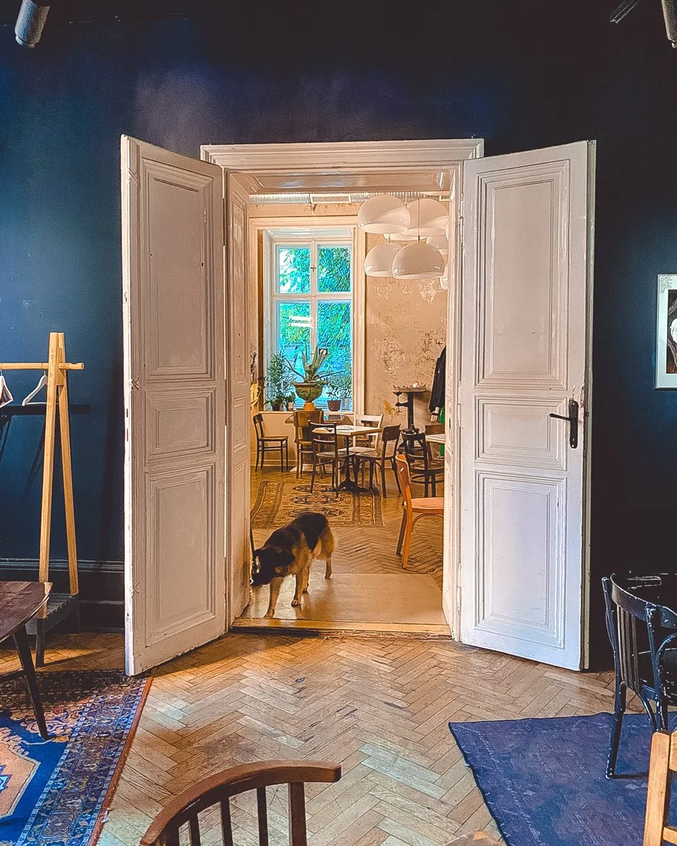 Föfoto-film-photography-paradise