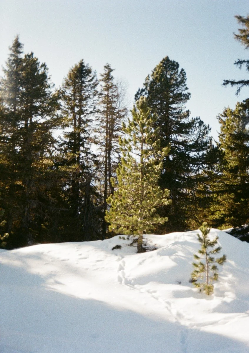 Kodak-Ektar-H35-camera-and-photos