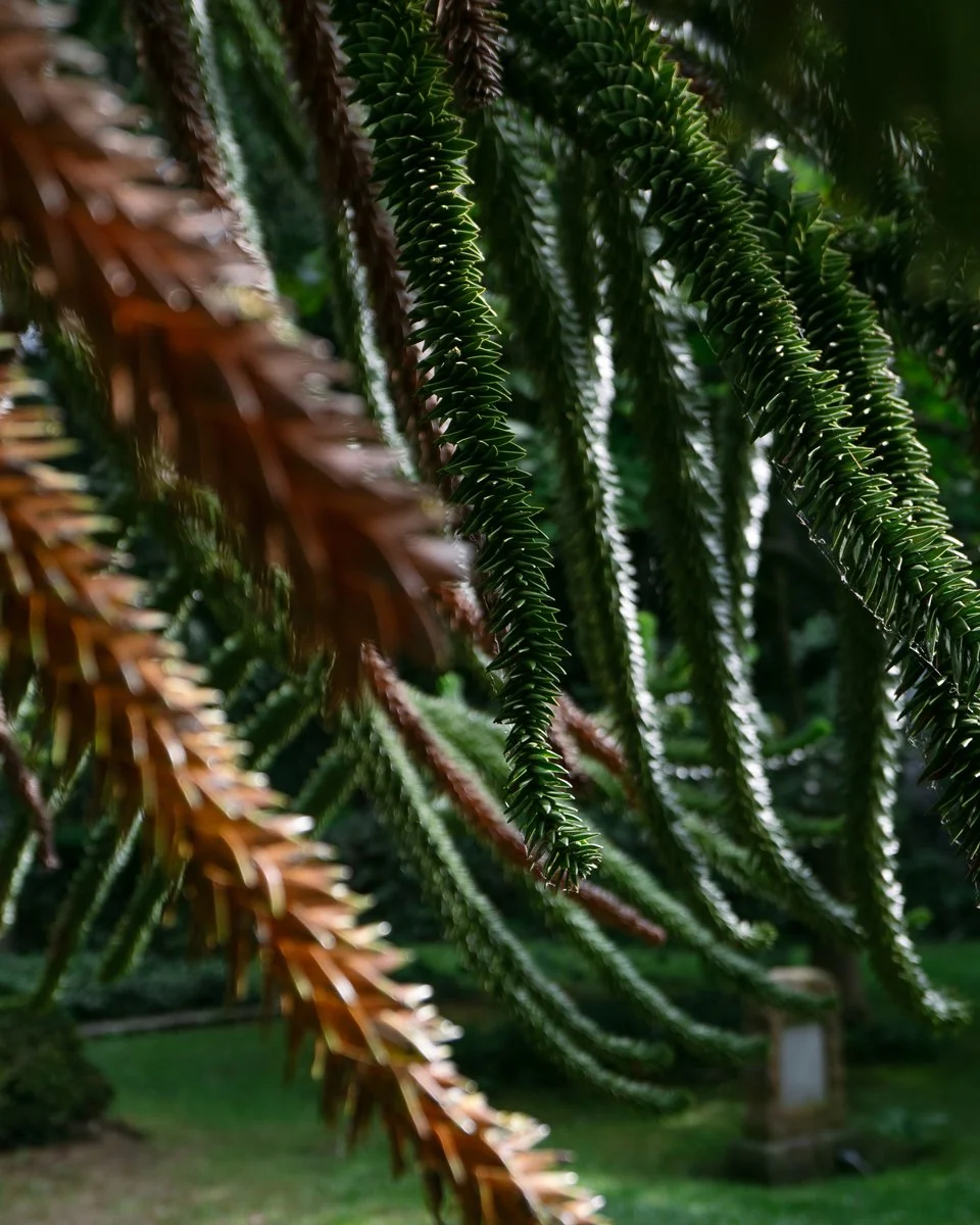 What-to-do-alone-in-Copenhagen_travel-blog