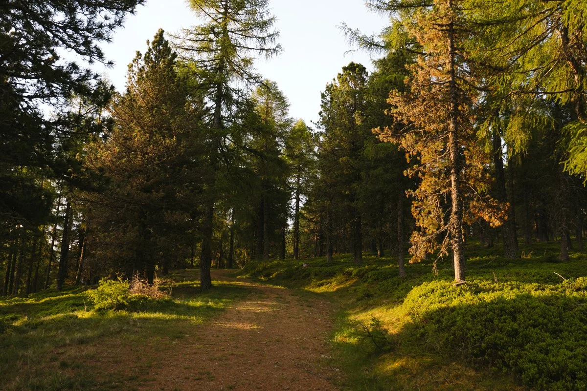 Wandern-in-den-Alpen-in-Österreich