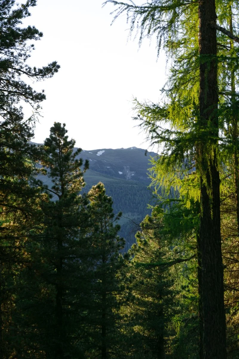 Mountain-vacation-in-Austria