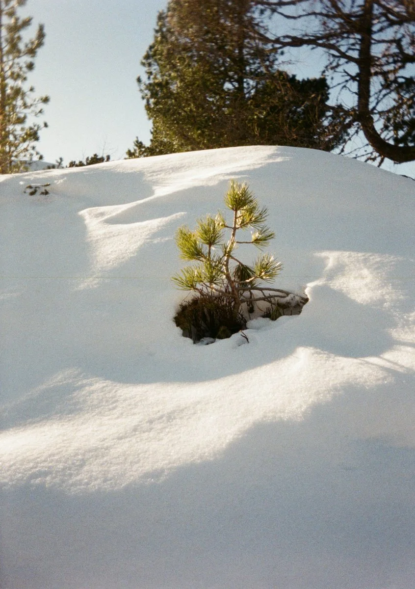 Testing-the-half-frame-camera-Kodak-Ektar-H35
