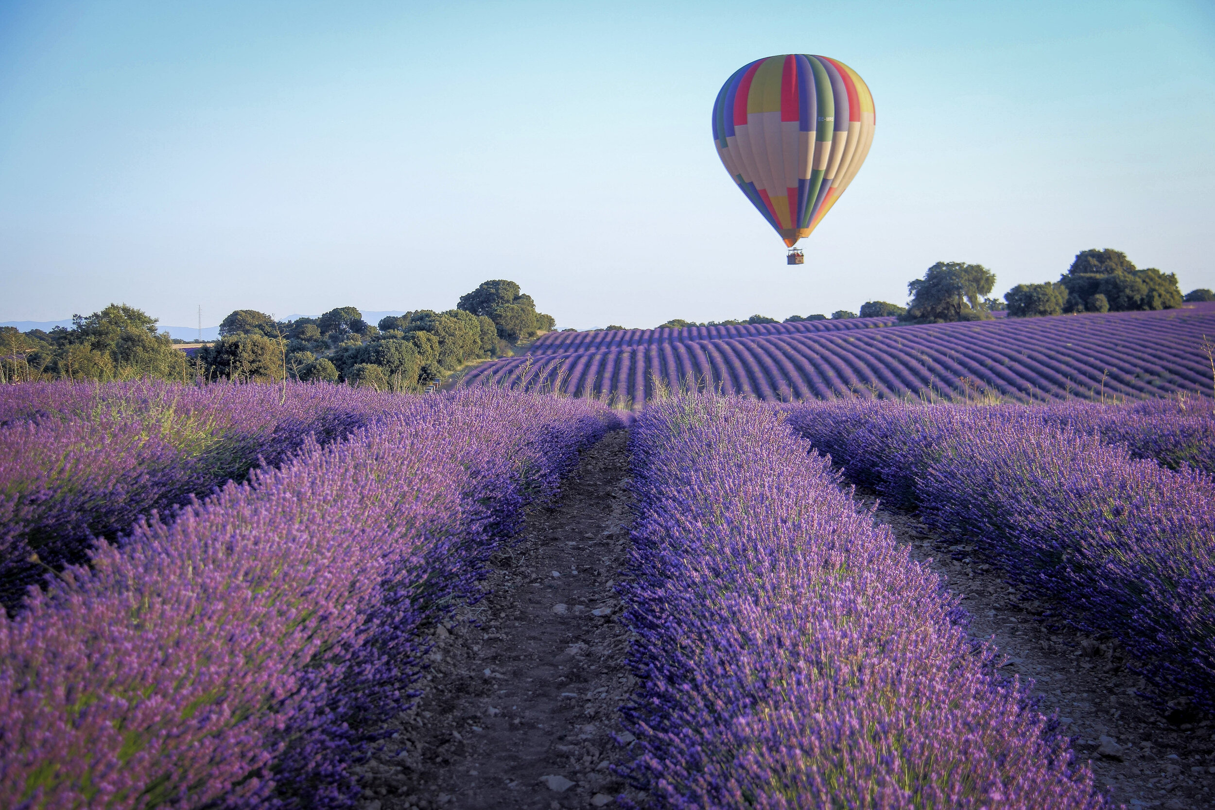 Hot Air Balloon Provence.jpg