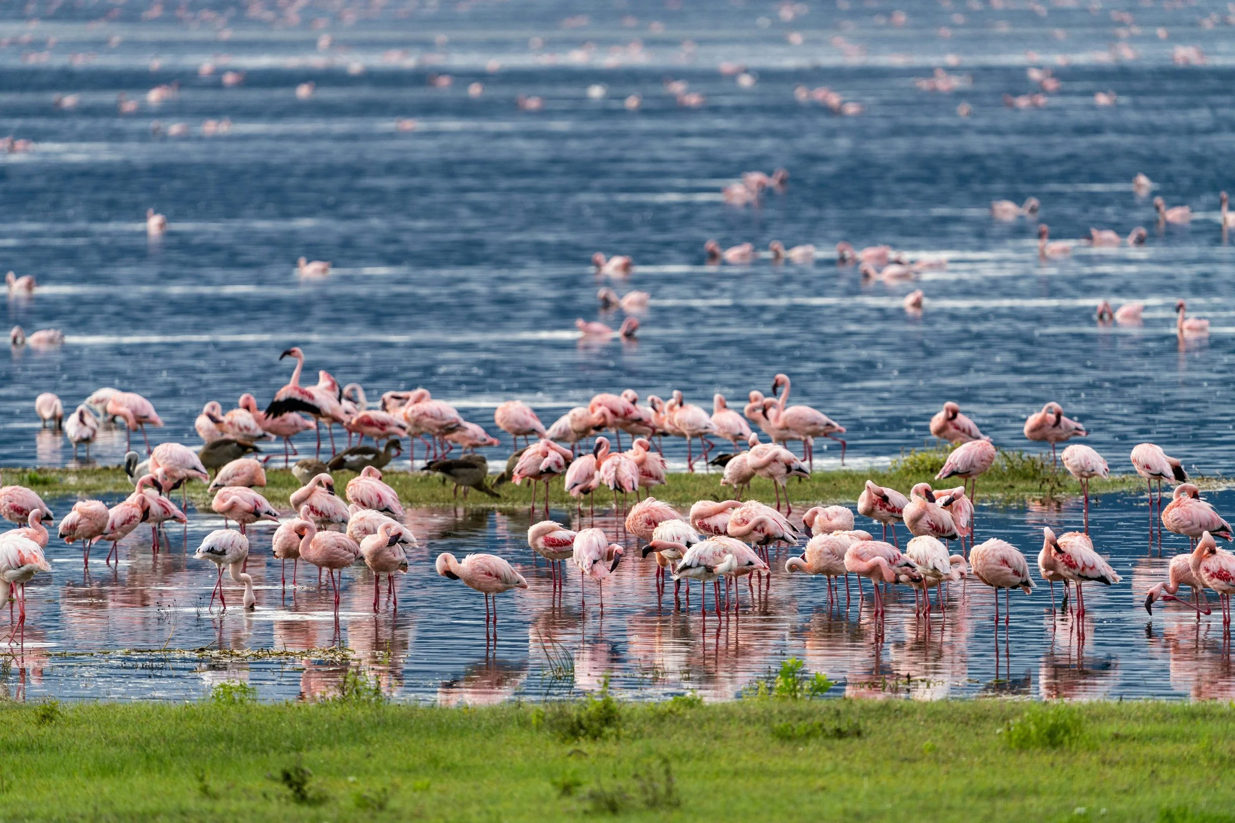 LAKE MANYARA