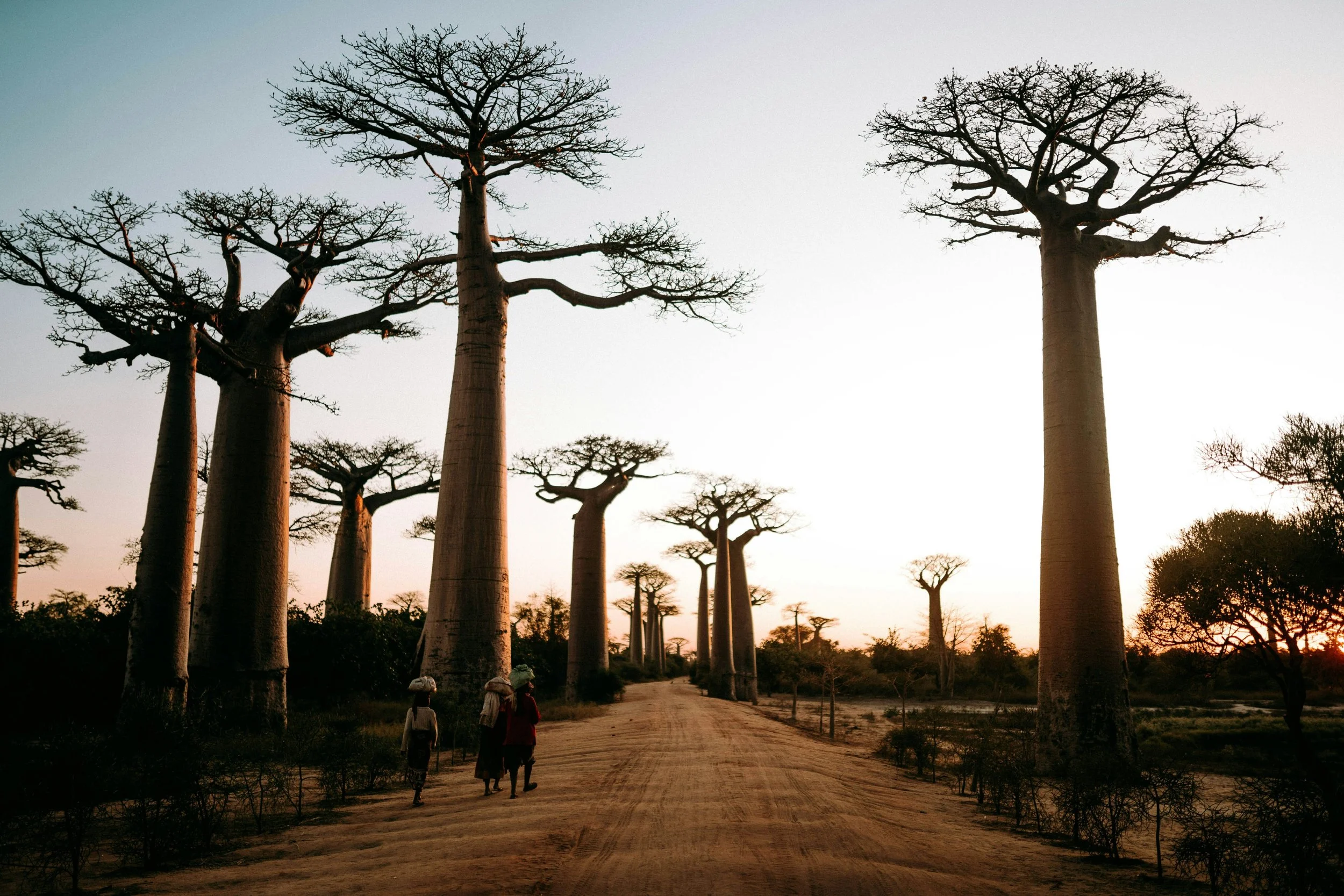 TARANGIRE NATIONAL PARK