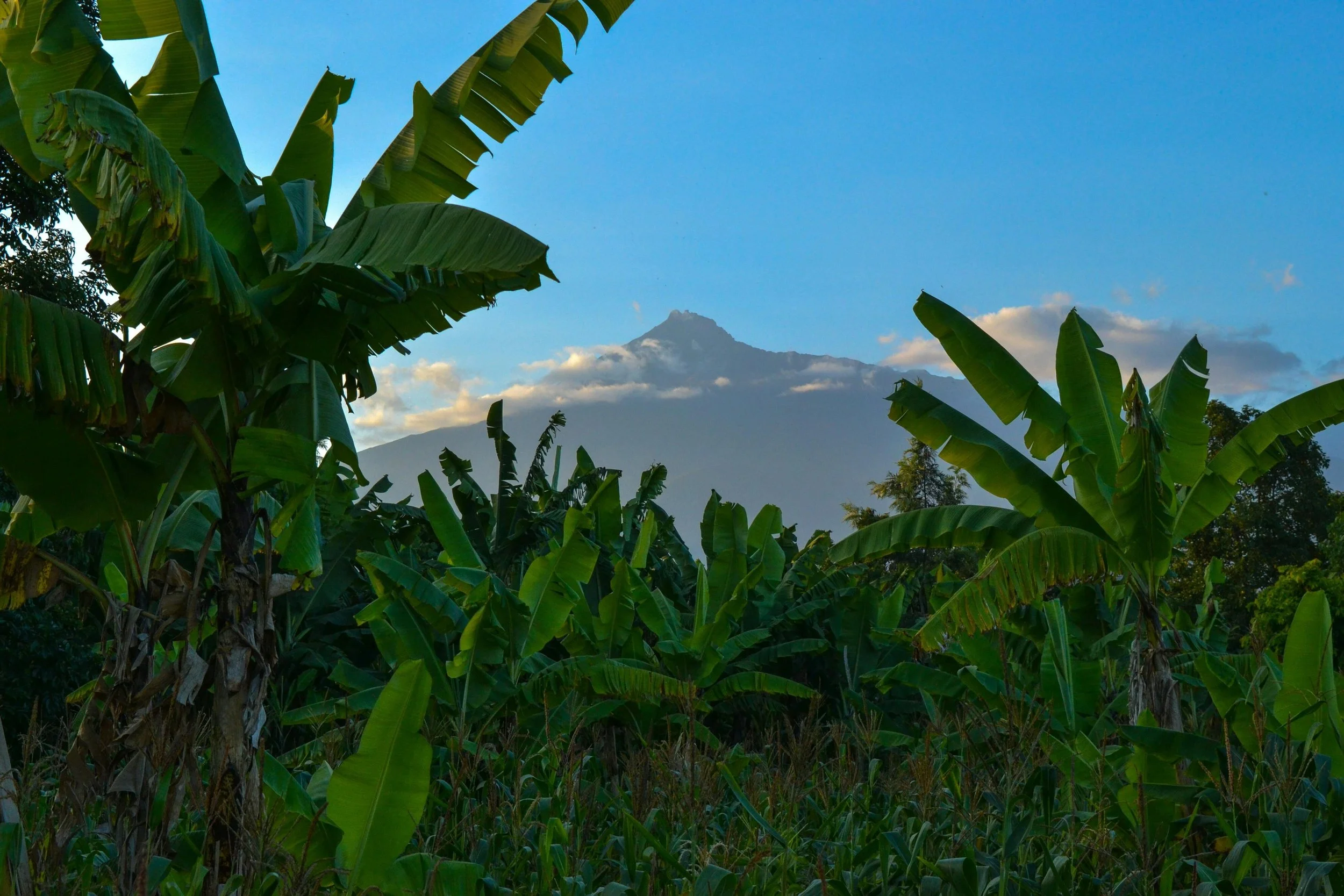 7 of the Best Mountains in Tanzania Every Hiker Will Love