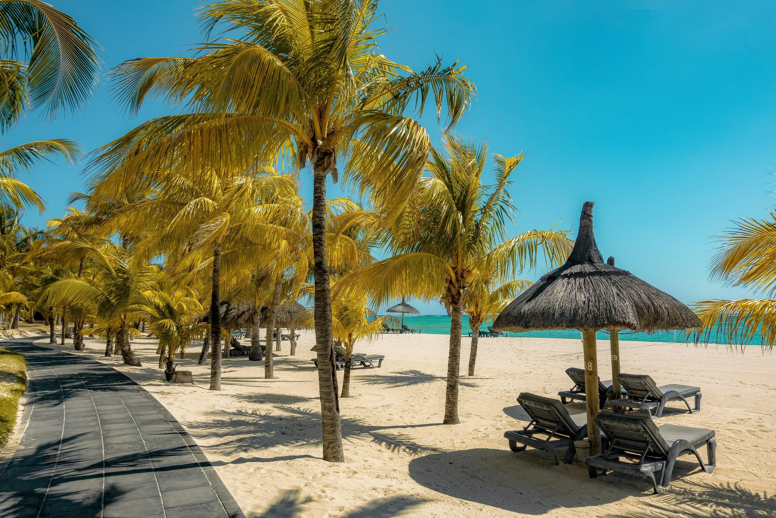 A view of a winding trail dotted with palm trees and beach huts covering sun loungers
