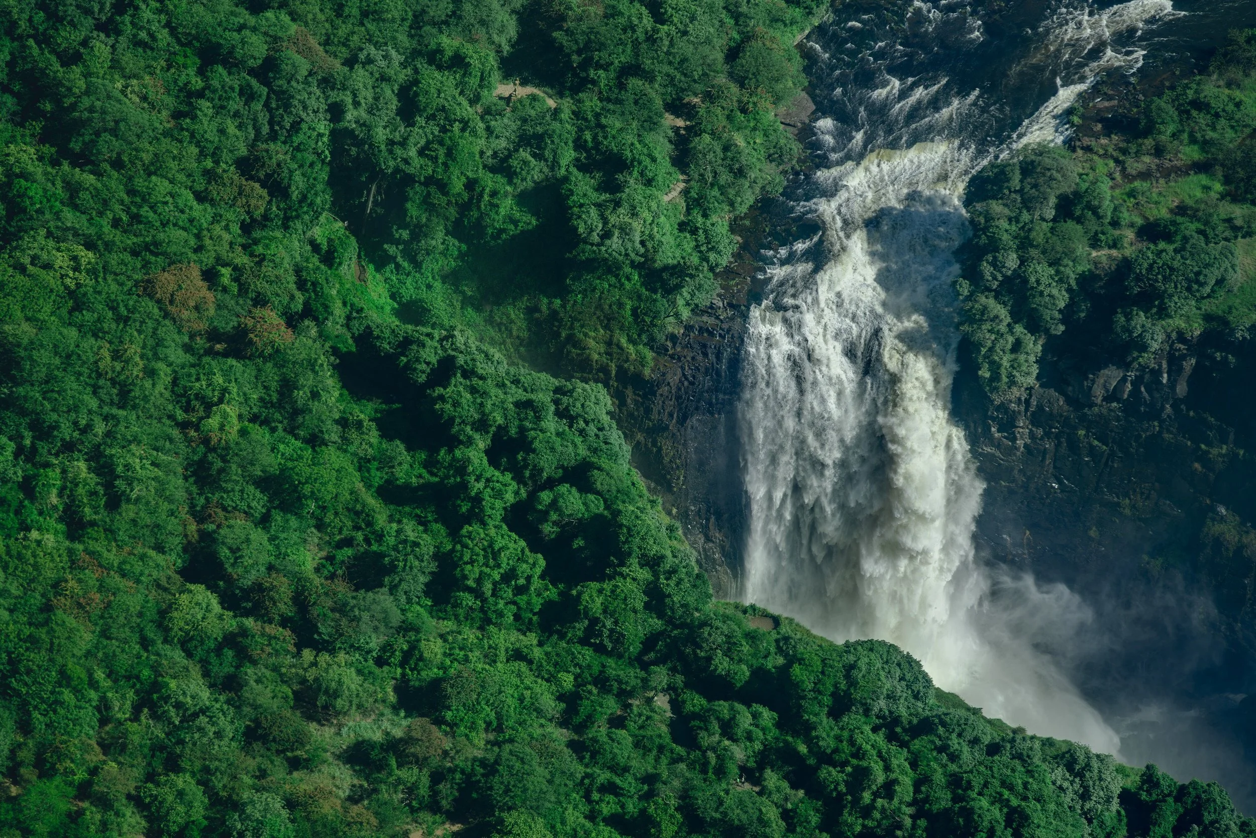 Green forest with a waterfall taken from above