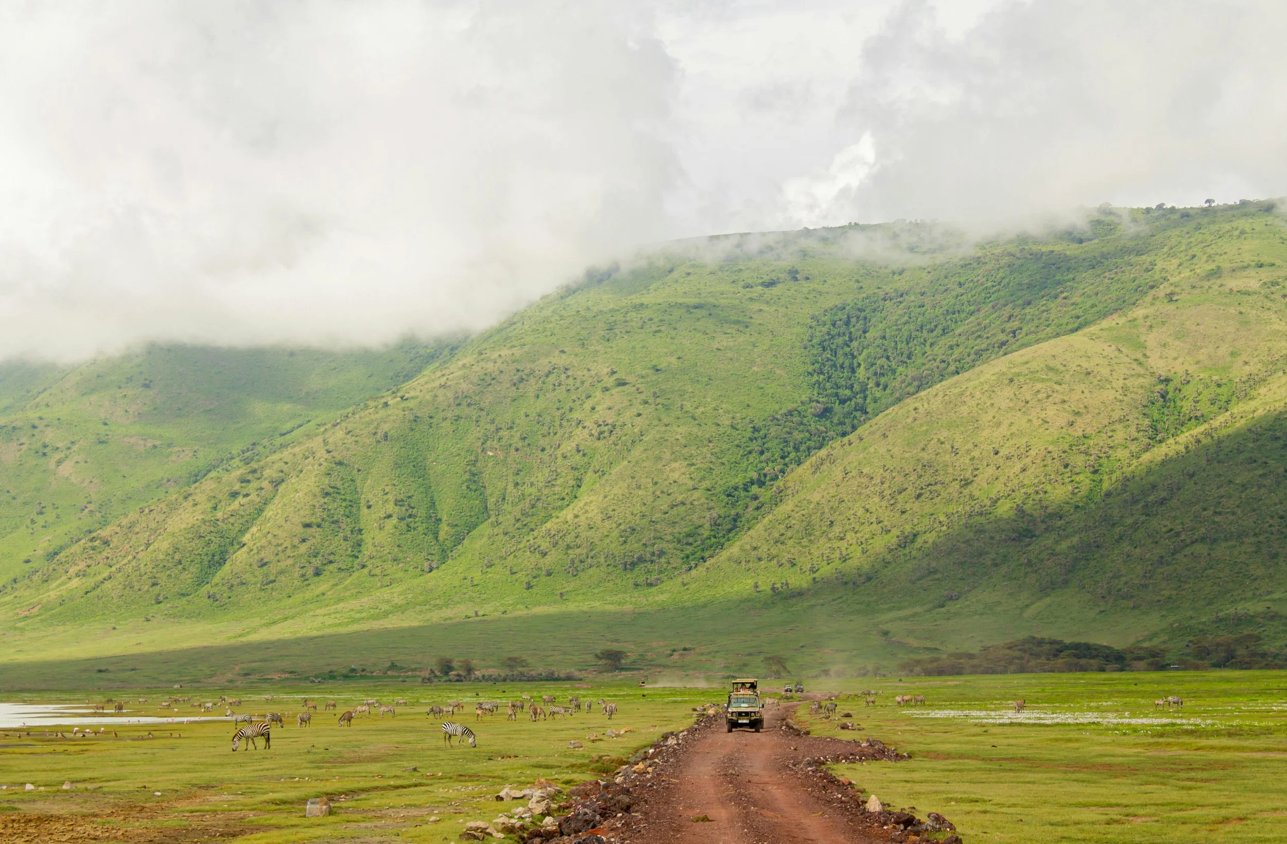 A safari vahicle drives along the pathway throughout the floor of the Ngorongoro Crater with the steep towering walls in the background