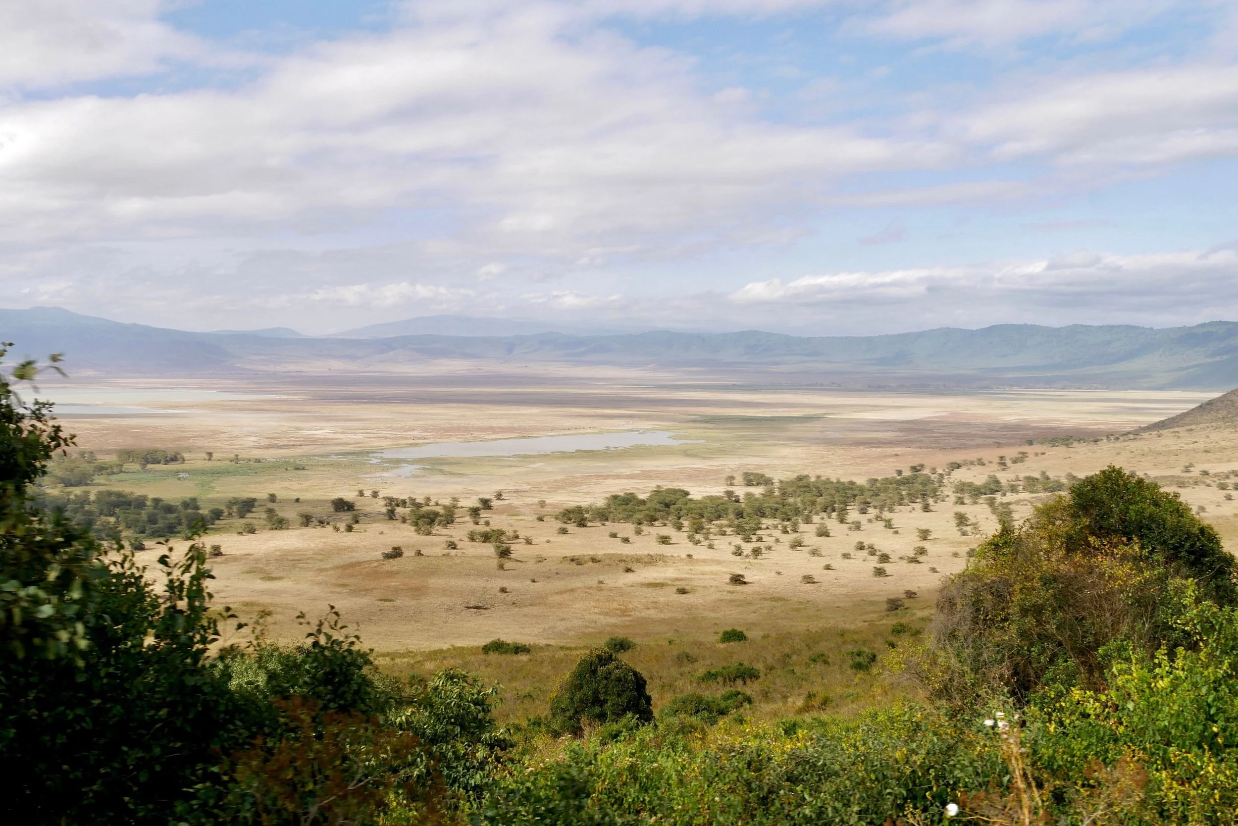A view of the Ngorongoro Crater floor from the rim.