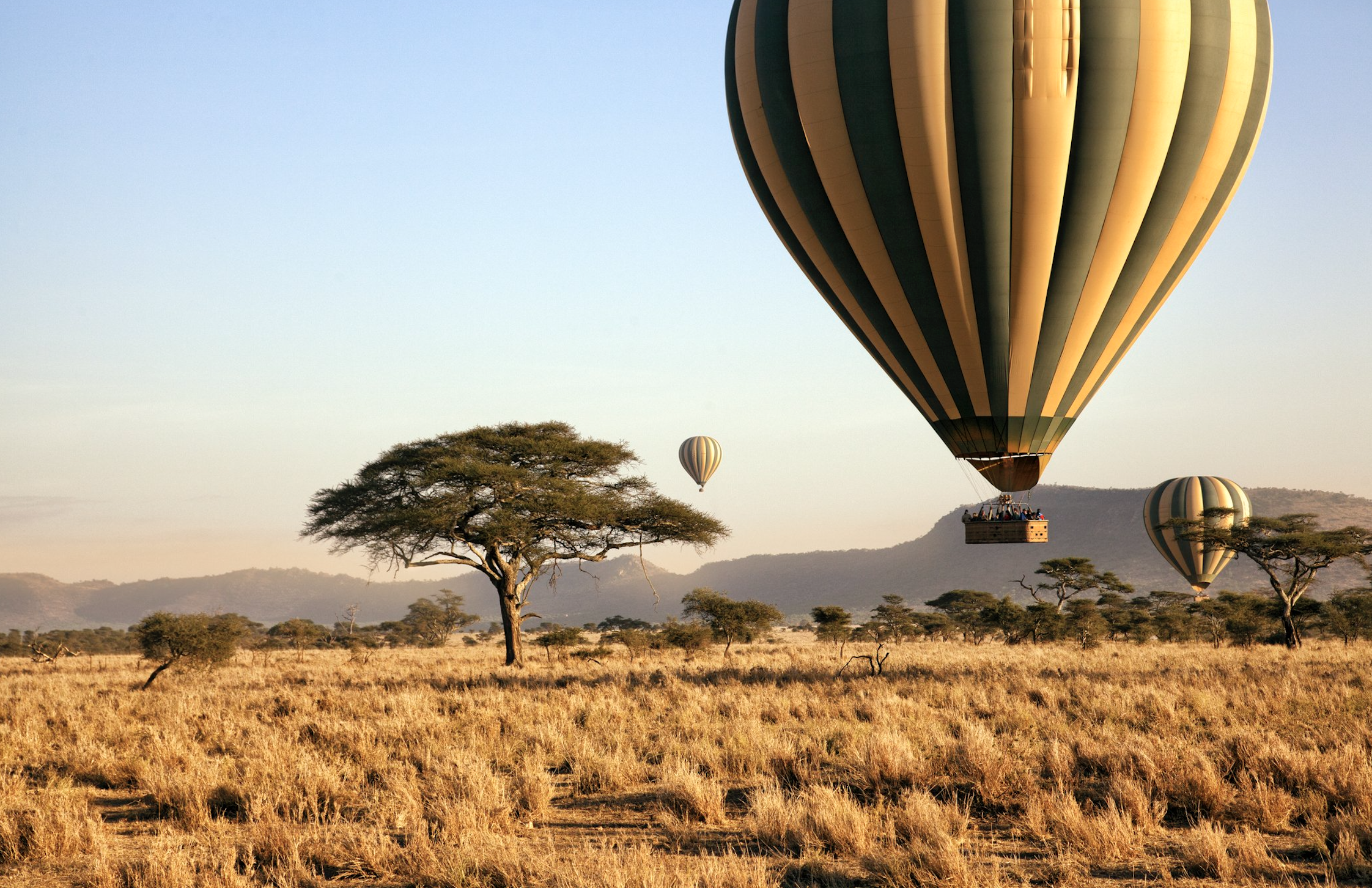 Three hot air balloons drift across part of the serengeti plains at a golden sunrise
