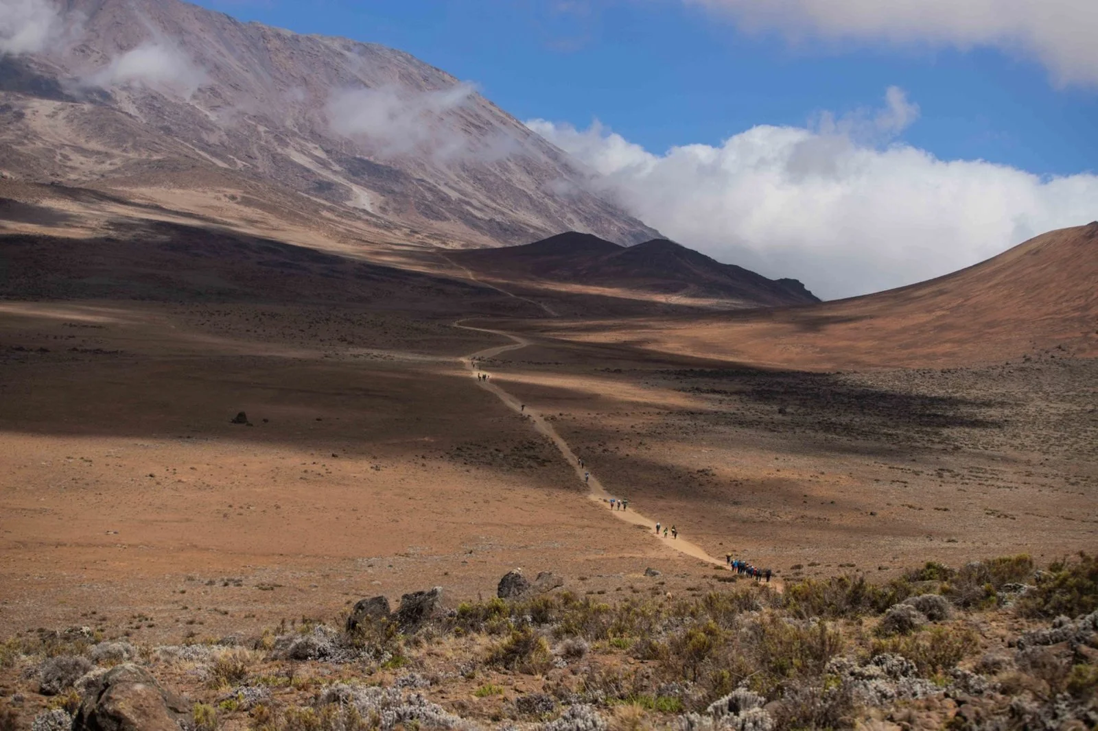 A long and winding Kilimanjaro trail with hikers dotted on its path trekking up to the mountain