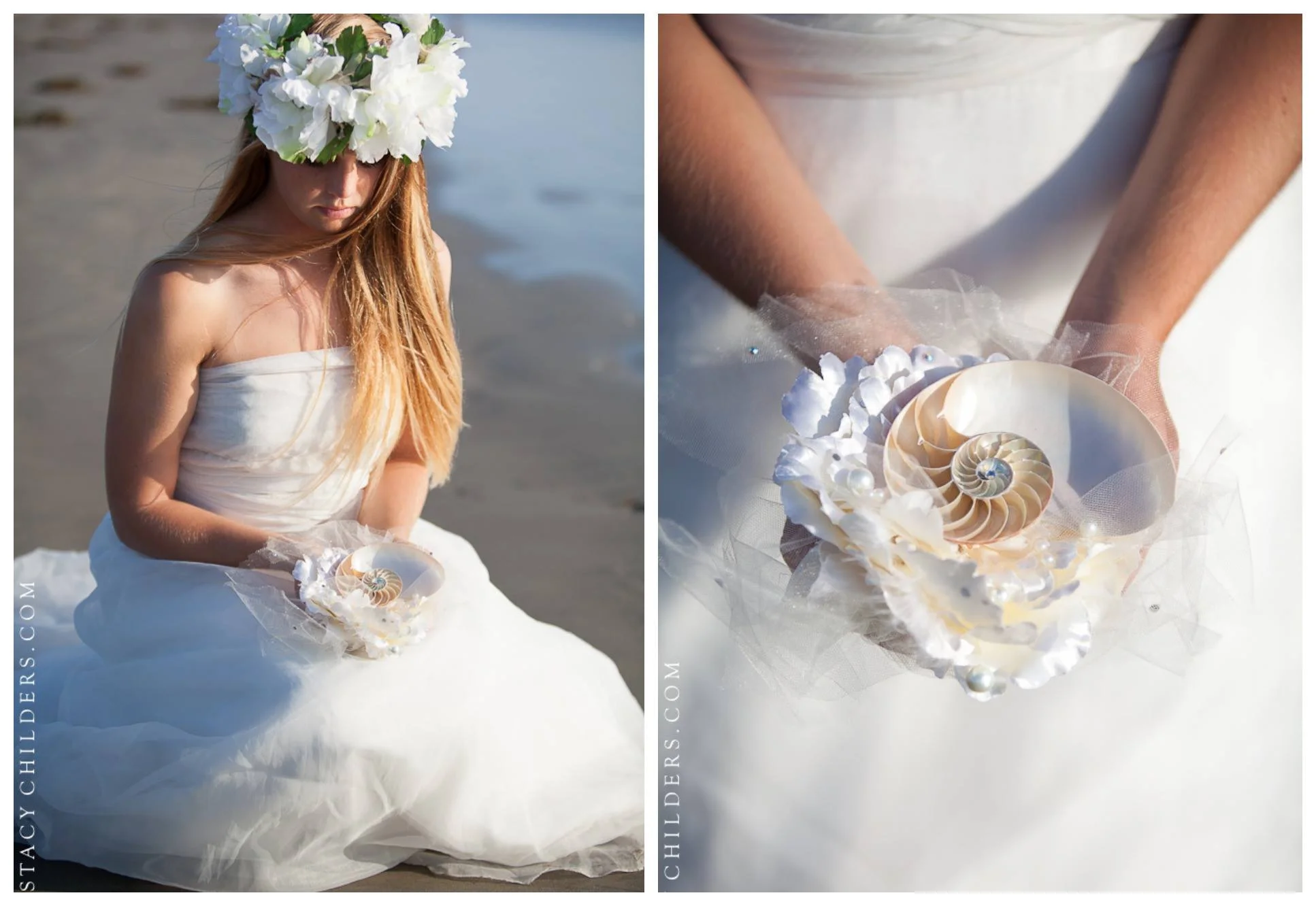 seashell.jpg
