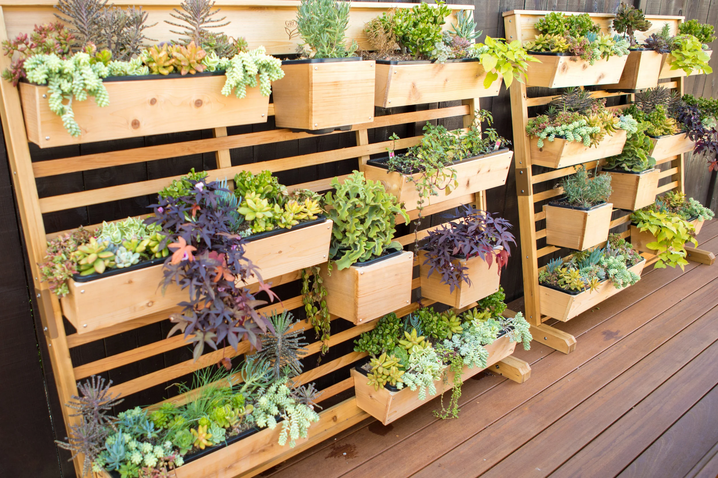 DAWN STONE-OUTDOOR-0019.jpg