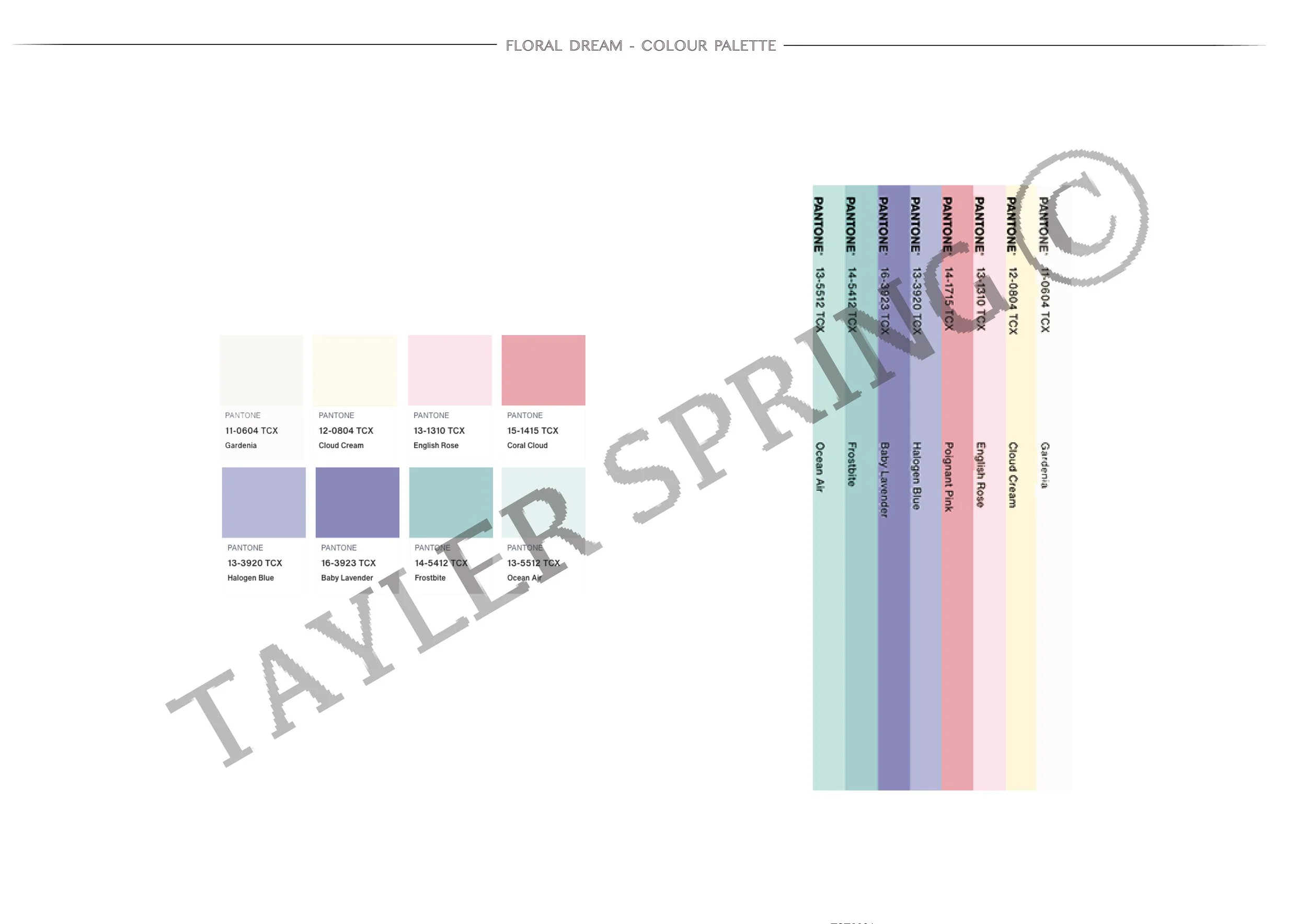 FLORAL DREAM REVISED 23.11.25-02.jpg