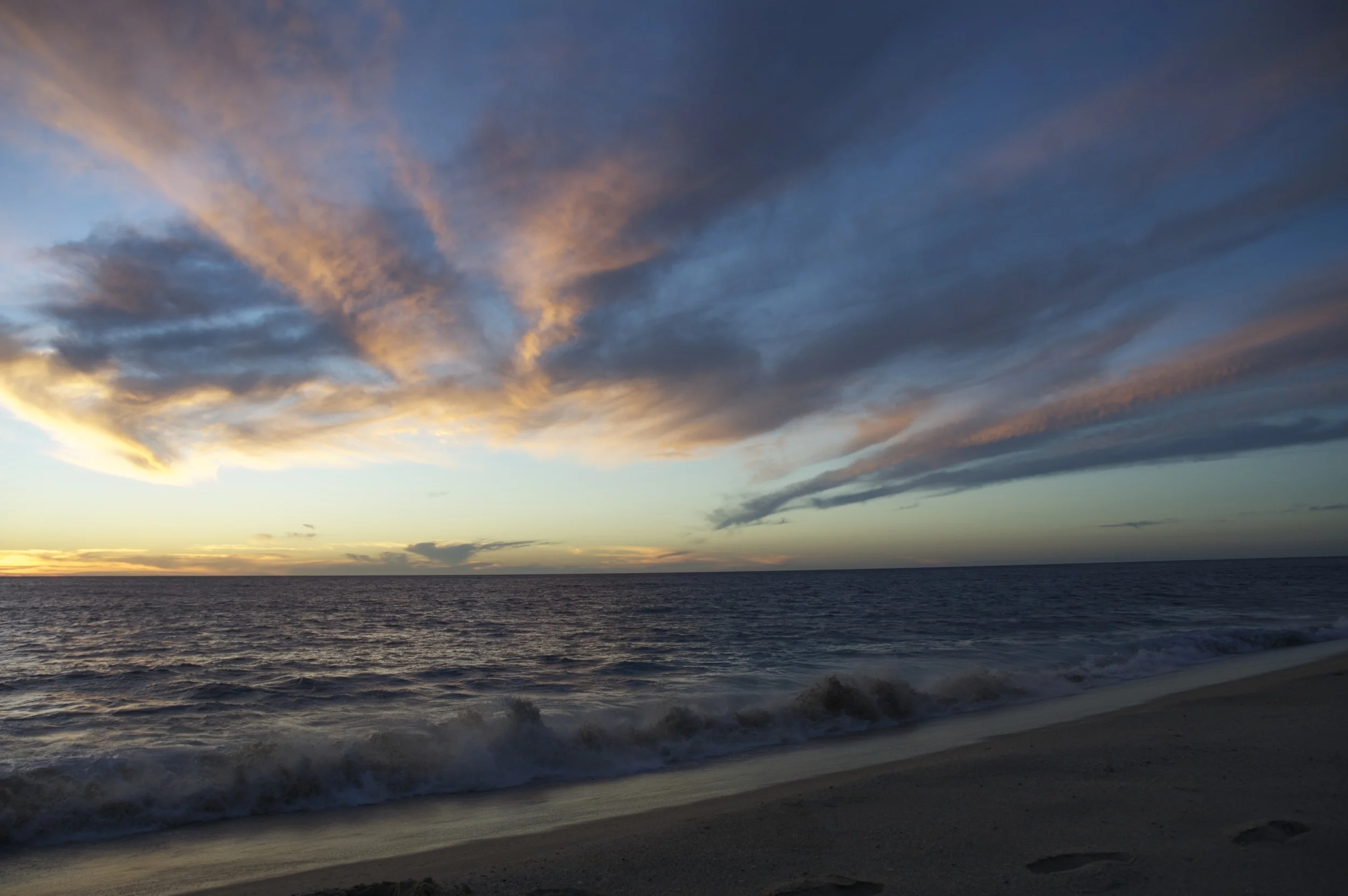 dsc_0196.jpg