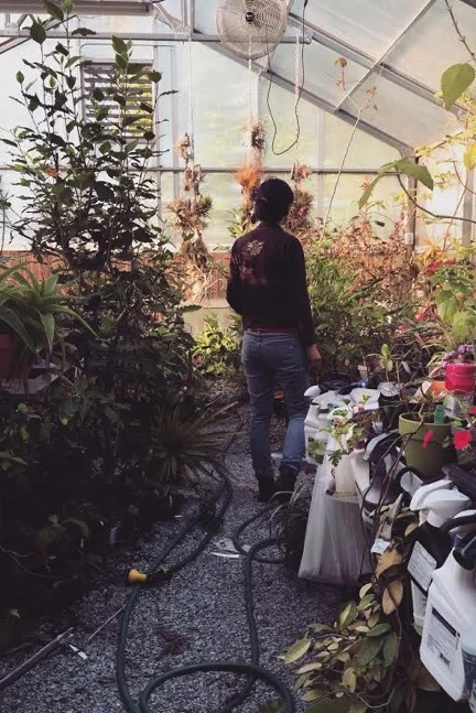 green house.jpg